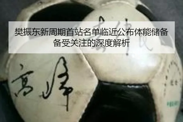 樊振东新周期首站名单临近公布体能储备备受关注的深度解析